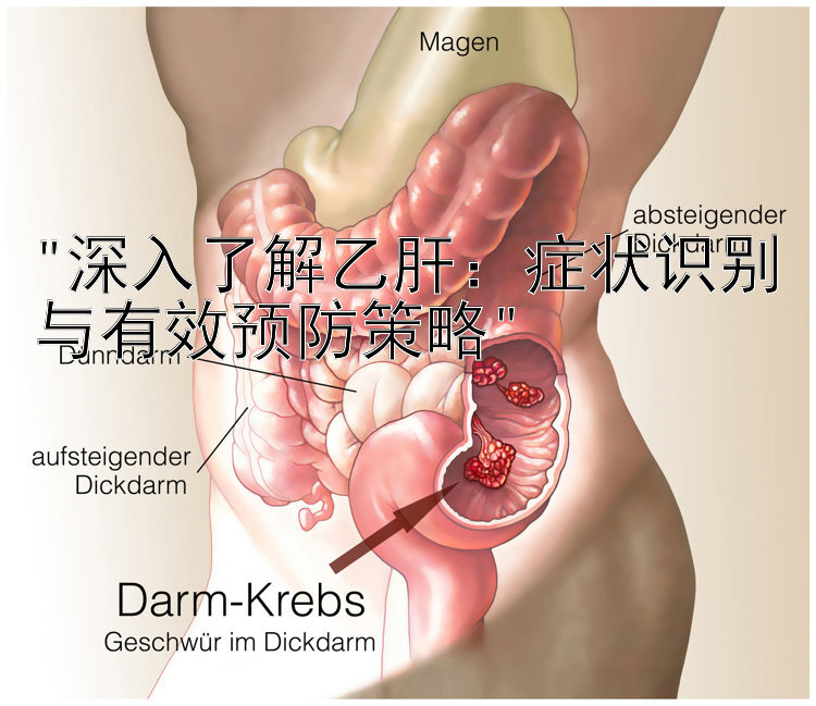 深入了解乙肝：症状识别与有效预防策略