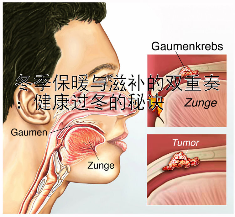 冬季保暖与滋补的双重奏：健康过冬的秘诀