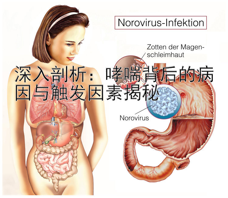 深入剖析：哮喘背后的病因与触发因素揭秘