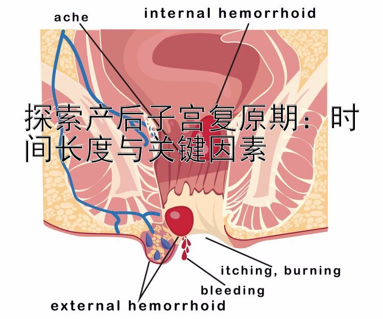 探索产后子宫复原期：时间长度与关键因素