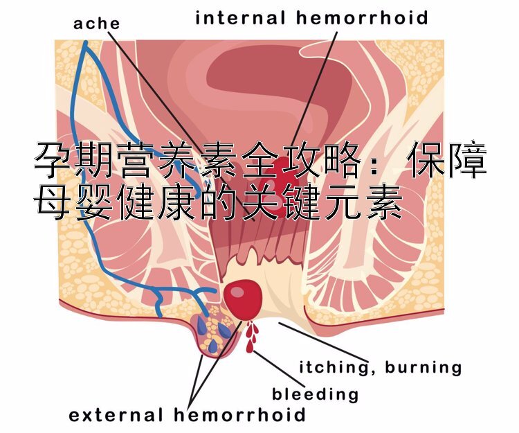 孕期营养素全攻略：保障母婴健康的关键元素