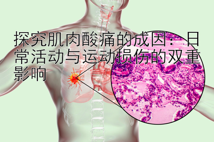 探究肌肉酸痛的成因：日常活动与运动损伤的双重影响