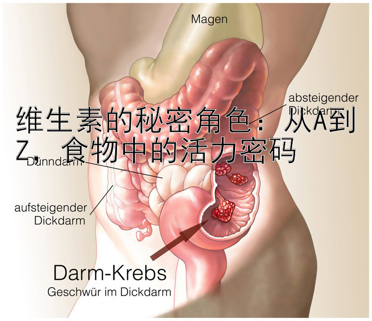 维生素的秘密角色：从A到Z，食物中的活力密码