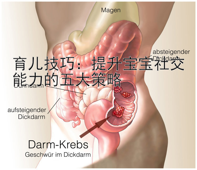 育儿技巧：提升宝宝社交能力的五大策略