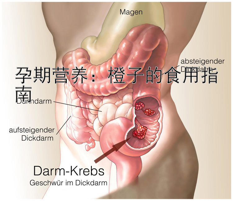 孕期营养：橙子的食用指南