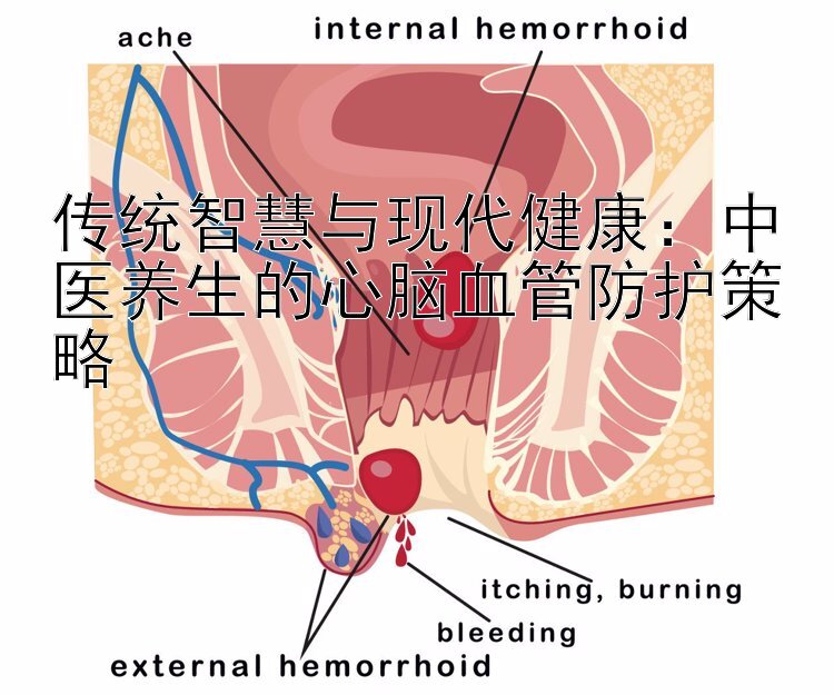 传统智慧与现代健康：中医养生的心脑血管防护策略