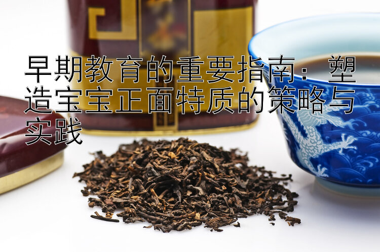 早期教育的重要指南：塑造宝宝正面特质的策略与实践