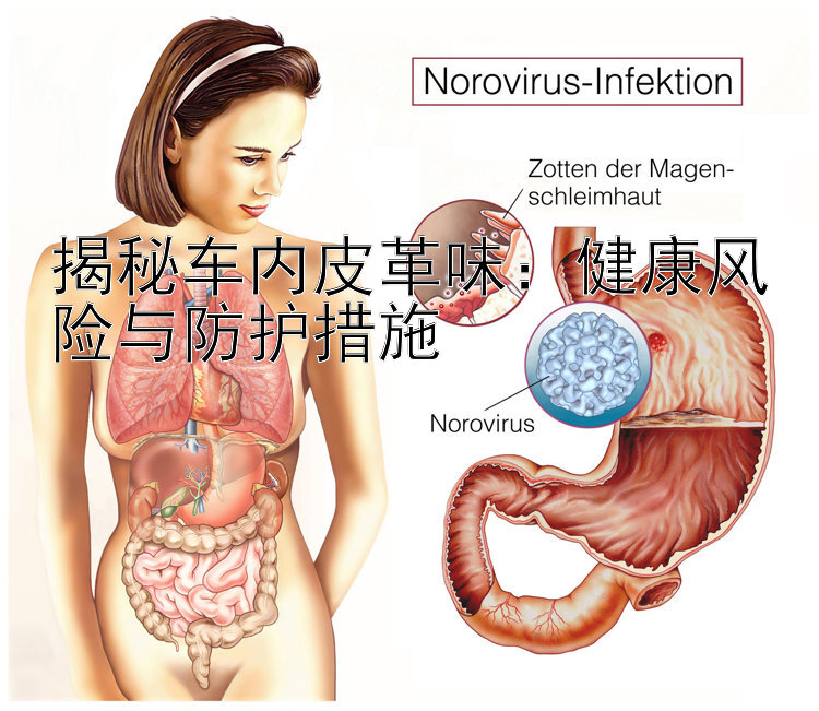 揭秘车内皮革味：健康风险与防护措施