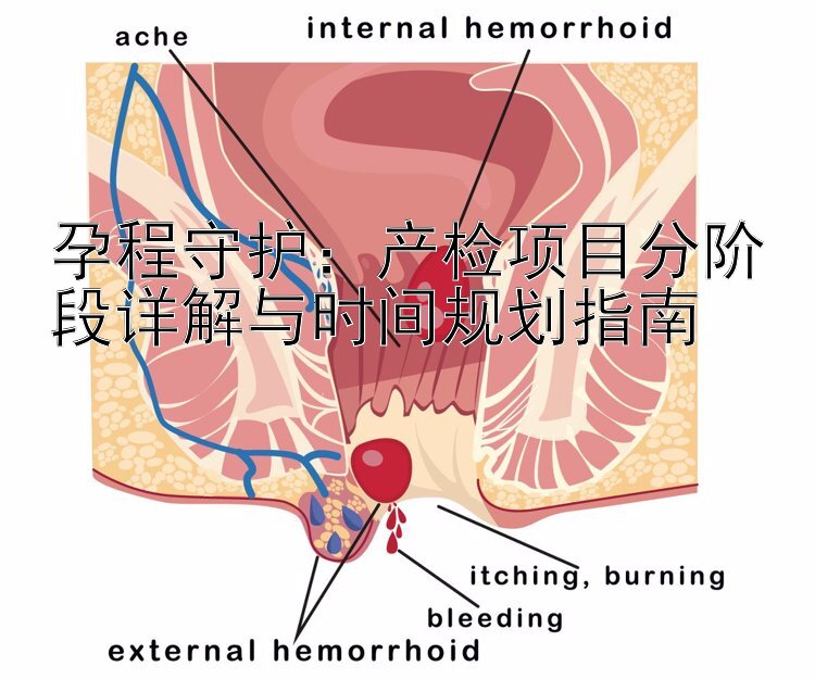 孕程守护：产检项目分阶段详解与时间规划指南