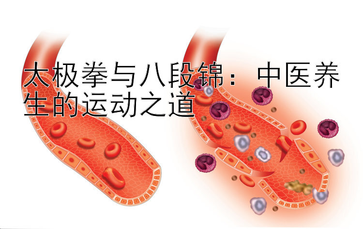 太极拳与八段锦：中医养生的运动之道