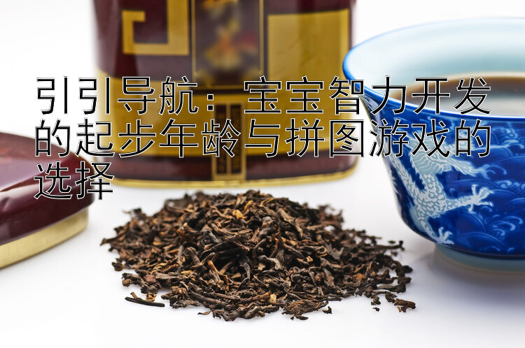 引引导航：宝宝智力开发的起步年龄与拼图游戏的选择