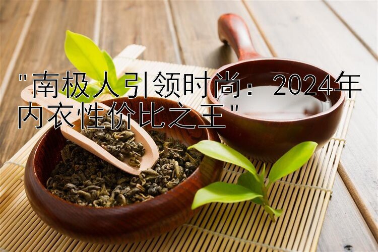 南极人引领时尚：2024年内衣性价比之王